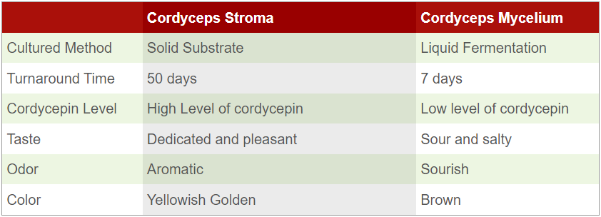 Quality Comparison with Others image-01